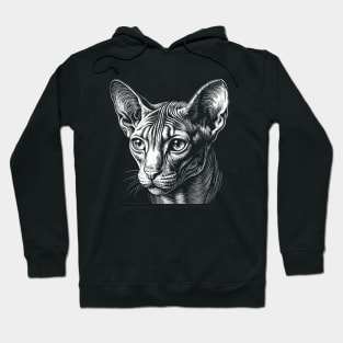 Cute sphynx cat Hoodie